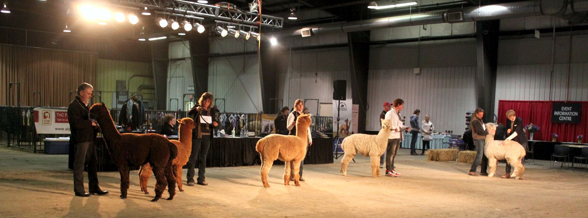 Canadian National Alpaca Show & Futurity