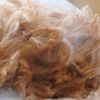 Fleece: Prairie Spirit Justin